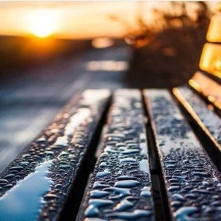 shoosah55's profile banner image
