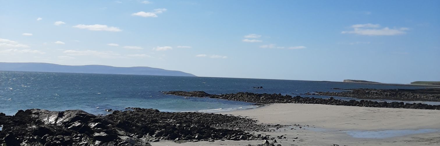 Divya Ravikumar-Grant banner