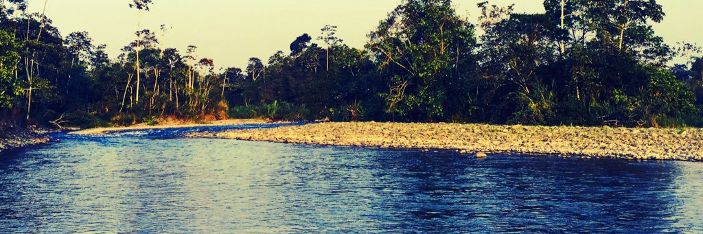 helllvis_'s profile banner image