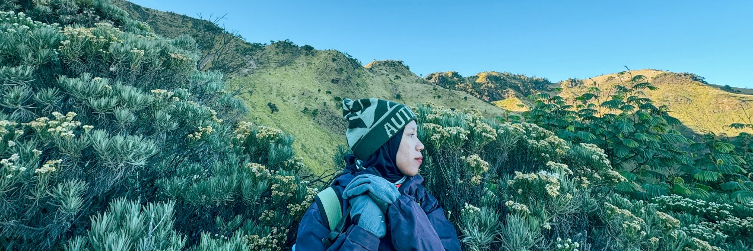 heyninut's profile banner image
