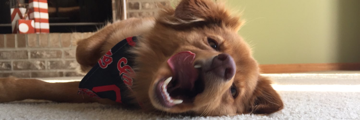 bkirk91's profile banner image
