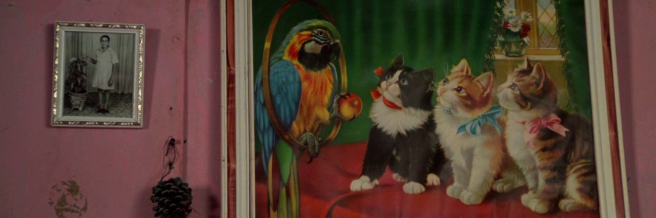 La Ronronthèque banner