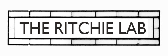 Jenny M. Ritchie banner