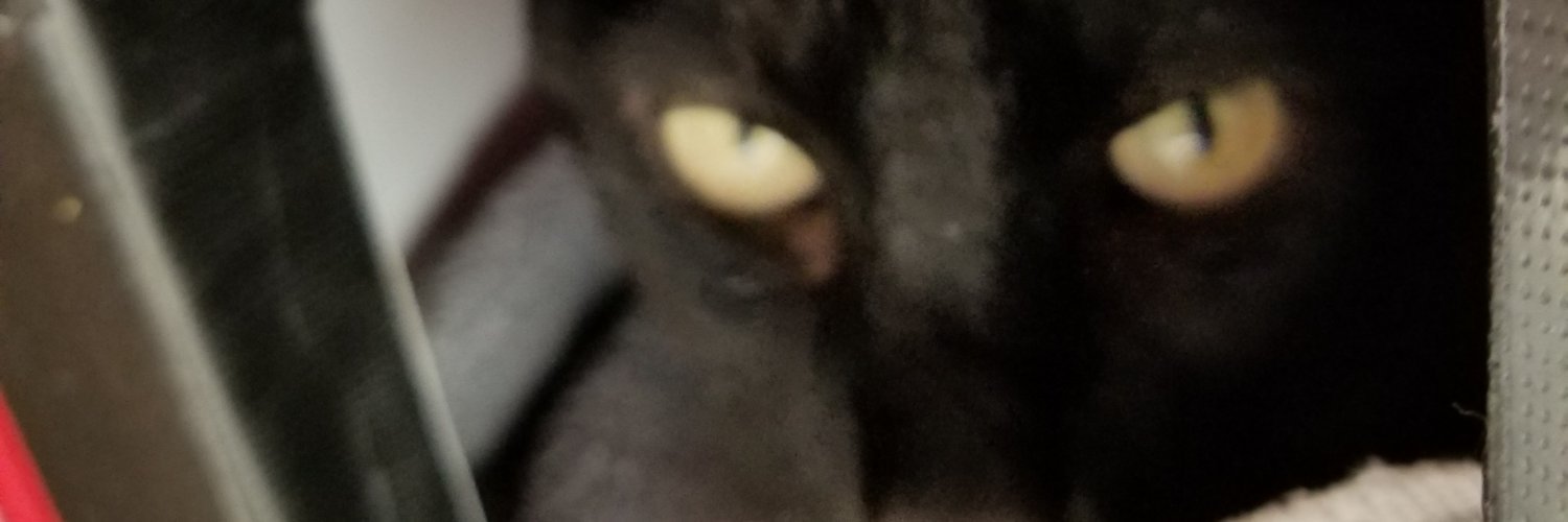InternalAlchemy's profile banner image