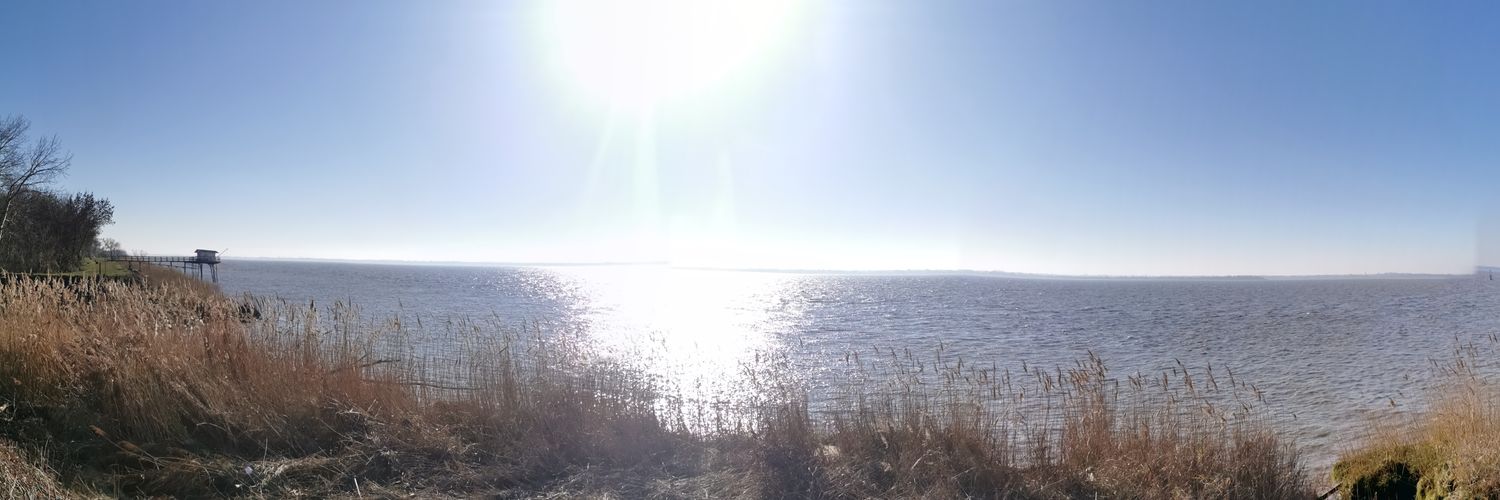 BSDANDR's profile banner image