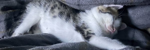 MissBThe3rd Profile Banner