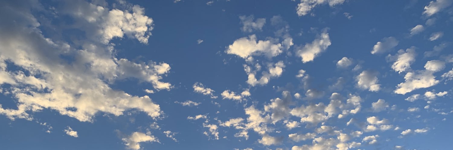 fionaa_ash's profile banner image