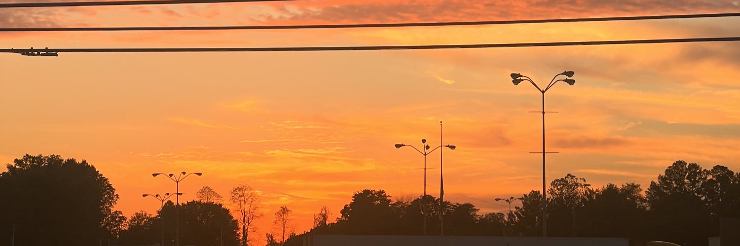 AnnaHenry0's profile banner image