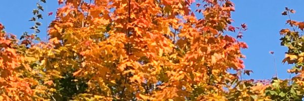 aijjtot Profile Banner