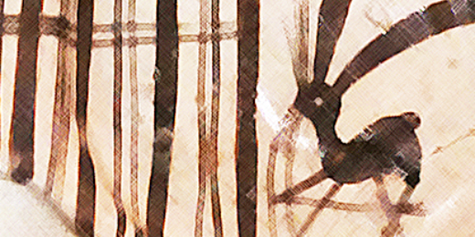 PN_kihen's profile banner image