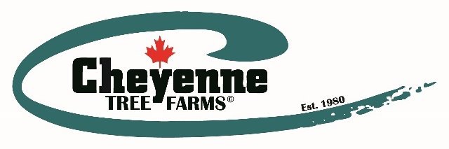 CheyenneTree's profile banner image