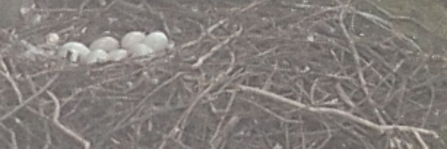 bijordan98's profile banner image