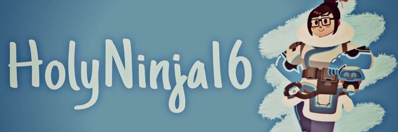 HolyNinja16's profile banner image