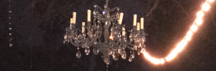 Katie Murphy-Olsen banner