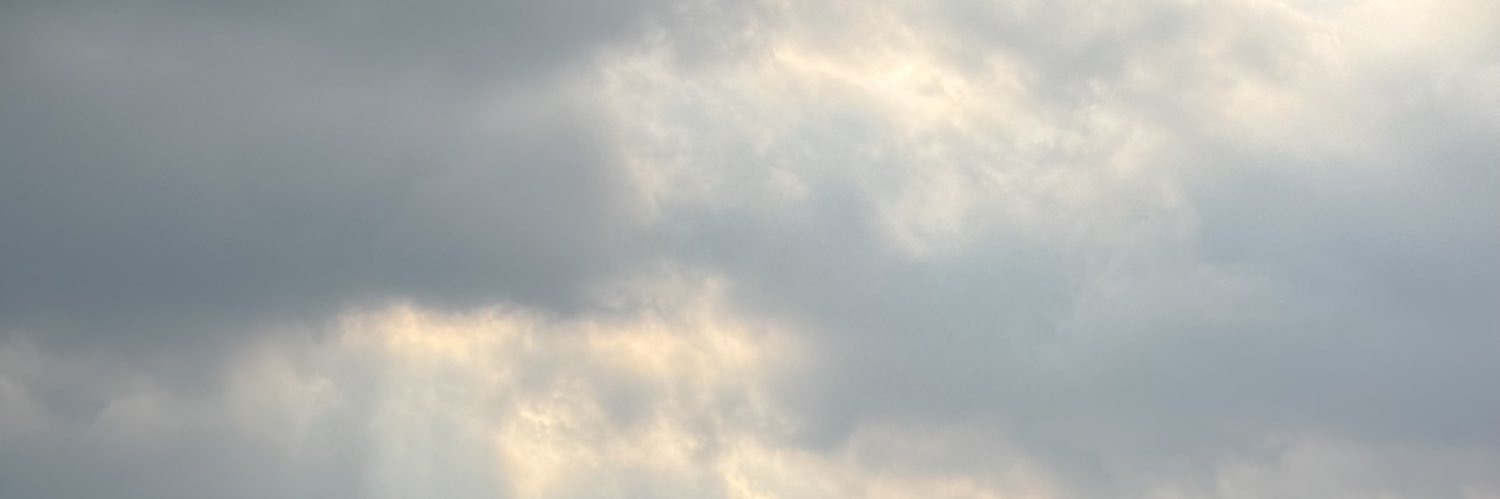 M1_SN1's profile banner image