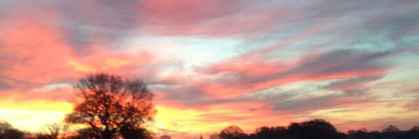 RobCotton1 Profile Banner