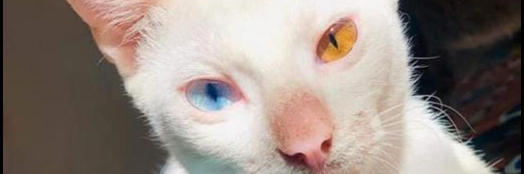 TomTemzy's profile banner image