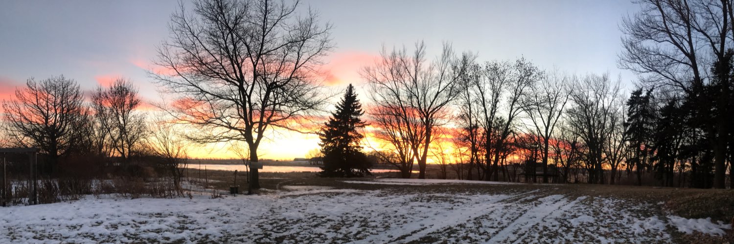 RueschHaley's profile banner image