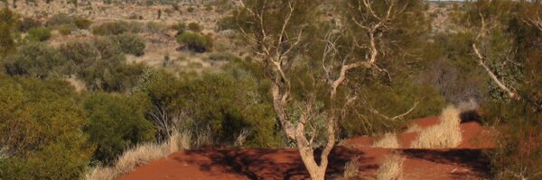 DanielCFunk Profile Banner