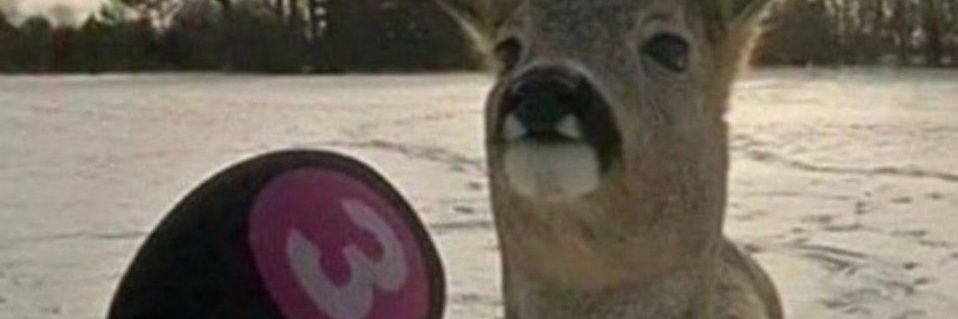 LRetord's profile banner image