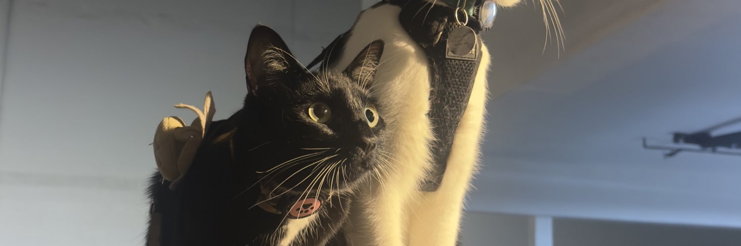 maythevic's profile banner image