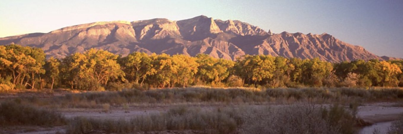 nmcoug's profile banner image