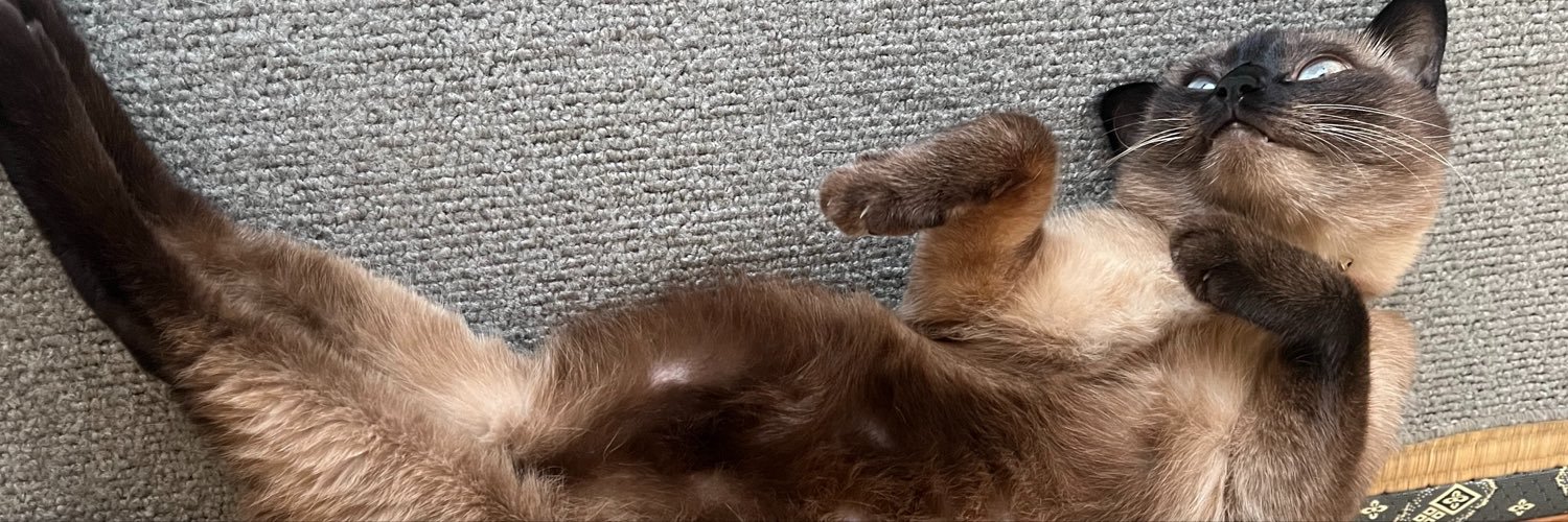 ababy_t's profile banner image