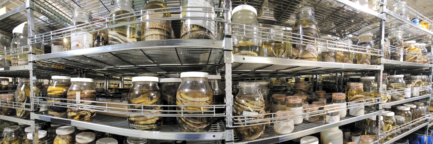 MSB Division of Amphibians and Reptiles banner