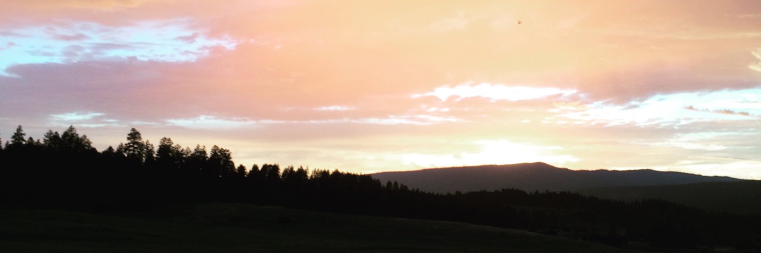 sassygingr's profile banner image