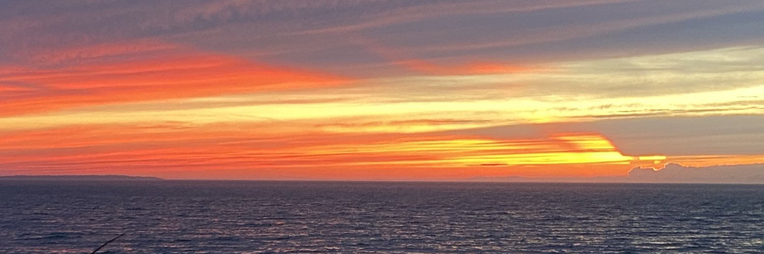 Cecilia Mercado MD banner