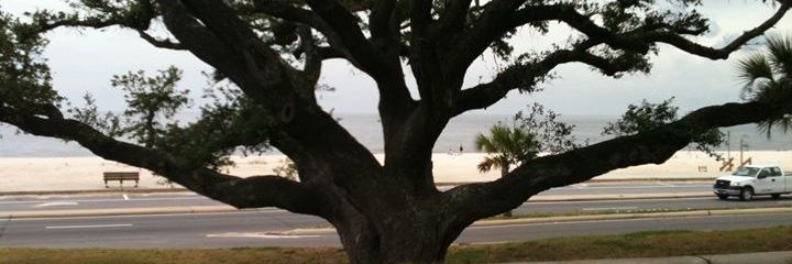 Dirttracker07's profile banner image