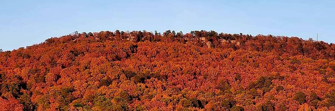 #FEELTHESQUEAL🐗🐗🐗 ✝️ banner