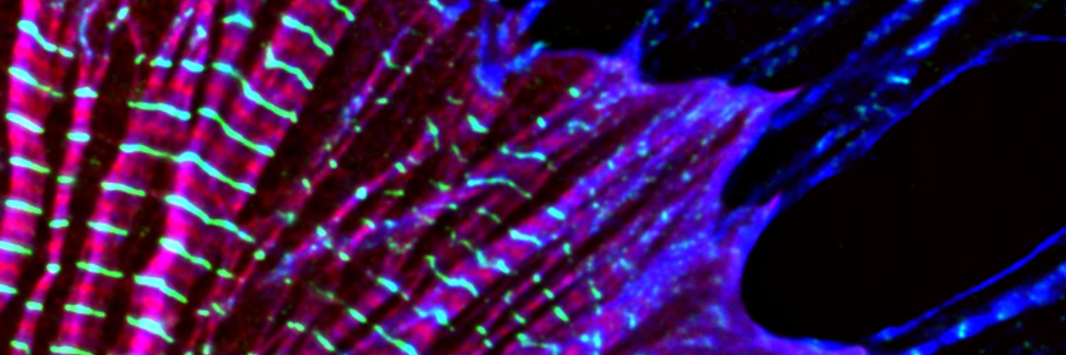 UArizona Dept of Cellular & Molecular Medicine's banner