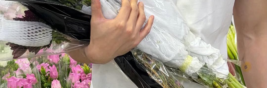 gummy banner