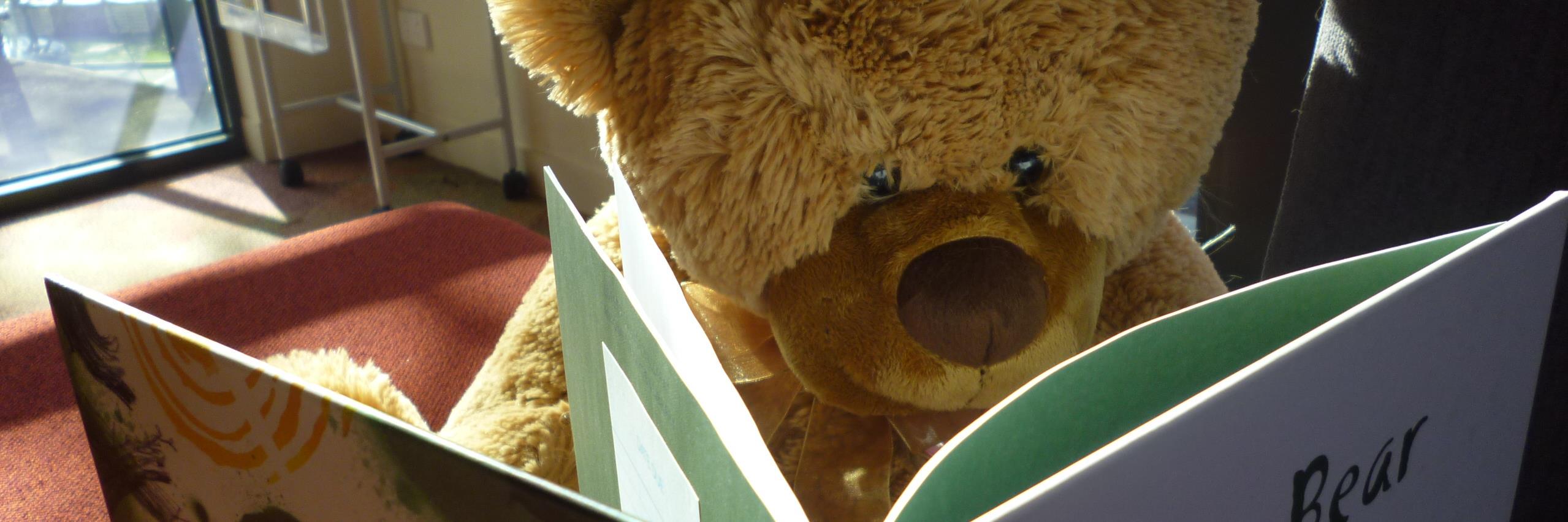 Marcia Phillips banner