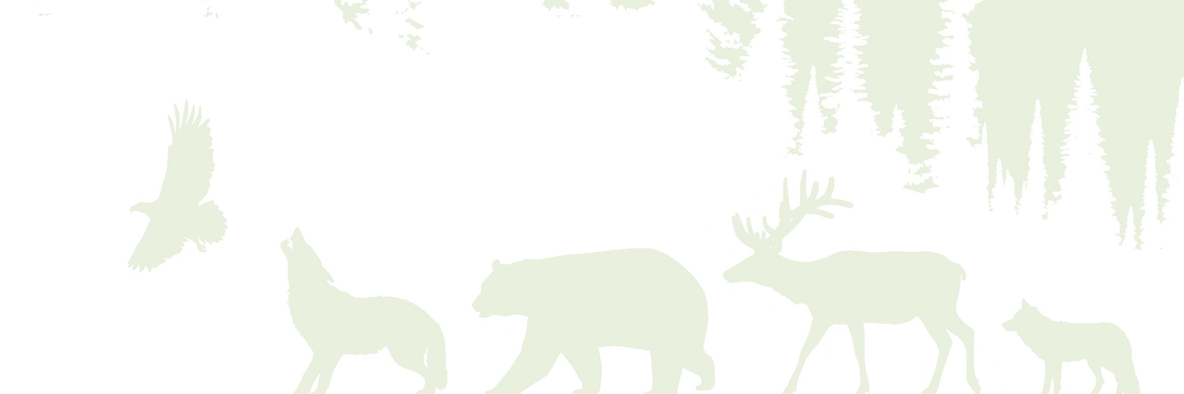 WaskesiuFound's profile banner image