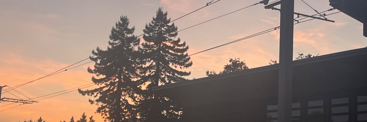mohsenvey's profile banner image