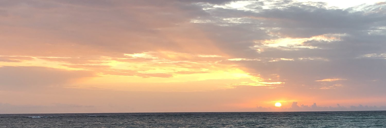 Naz_ly_'s profile banner image
