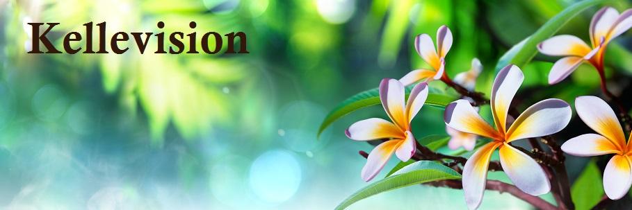 Kellen Von Houser banner