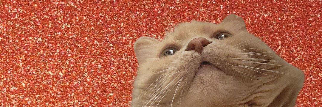 allomarylou's profile banner image