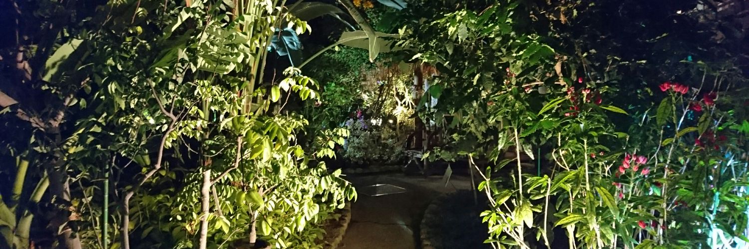 Kitza777's profile banner image
