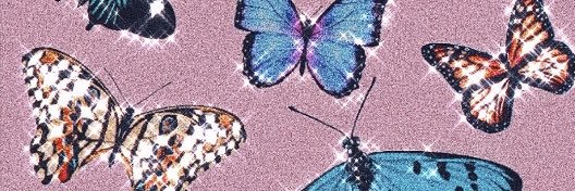 sofiaxsilerio's profile banner image