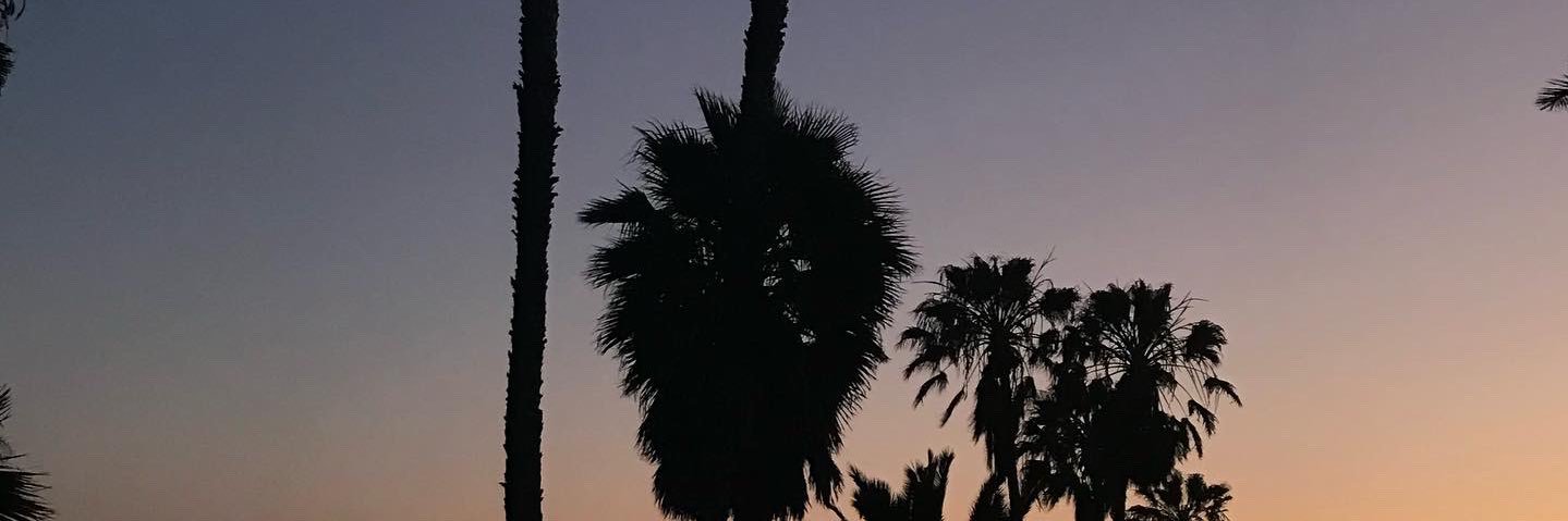austin_longoria's profile banner image