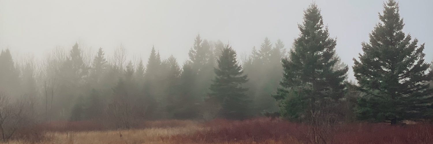 dylan4liberty's profile banner image