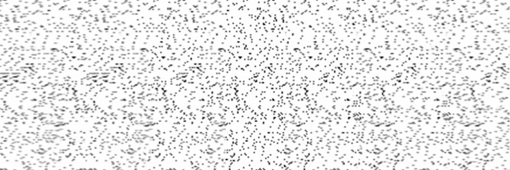 heather lipner banner