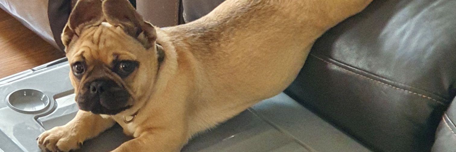 AUpinion's profile banner image