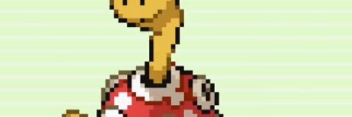 Shuckle banner