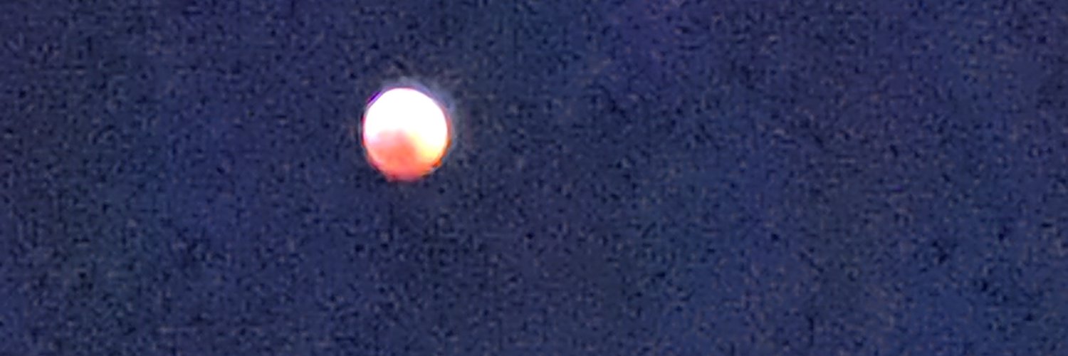 moonsower's profile banner image