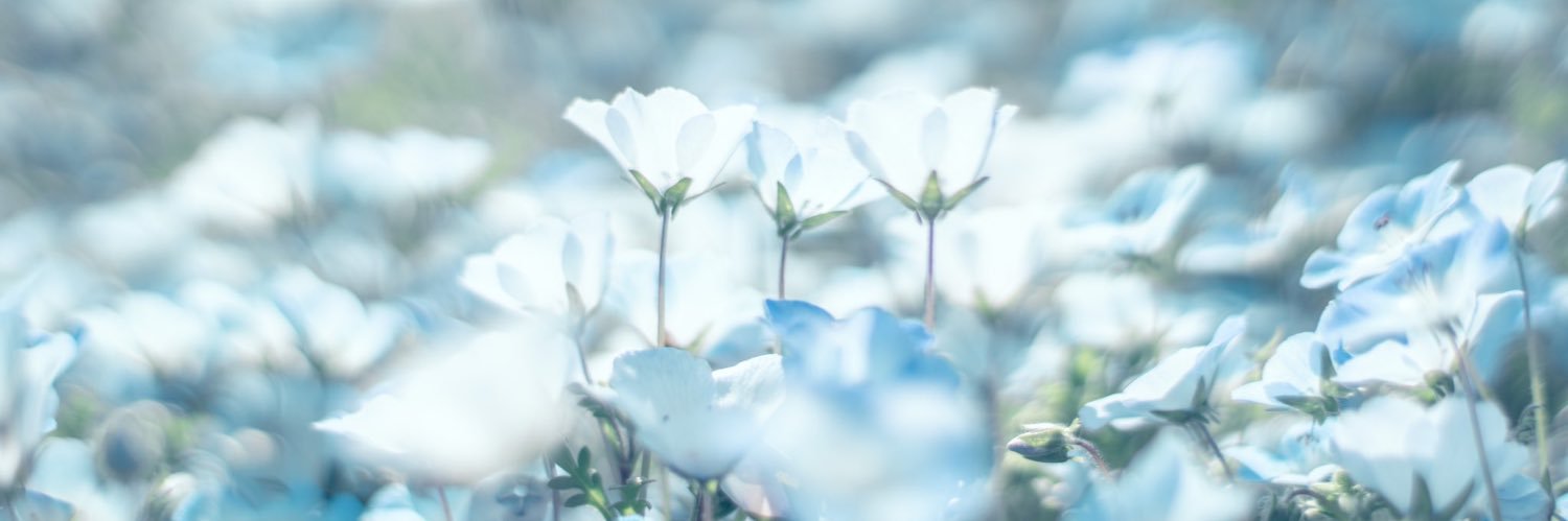 A75427741's profile banner image
