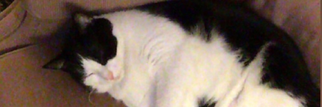 AtlantisBill VL50x4 (VL40x38) banner